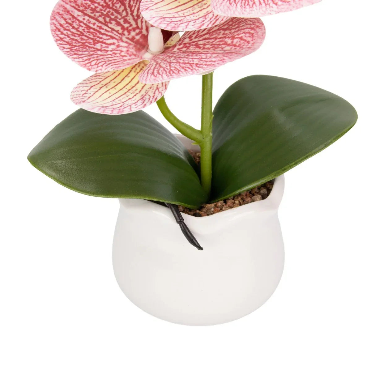 Orhidee cu aspect natural in ghiveci ceramic, 49 cm, Naimeed D6891, Roz