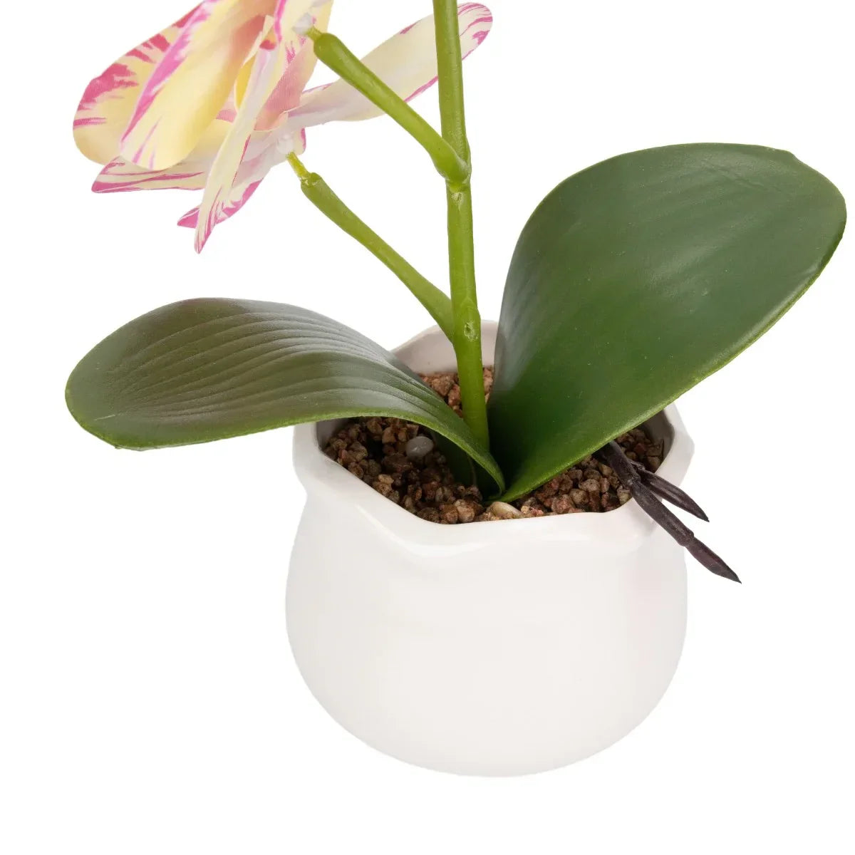 Orhidee cu aspect natural in ghiveci ceramic, 49 cm, Naimeed D6894, Galben pal