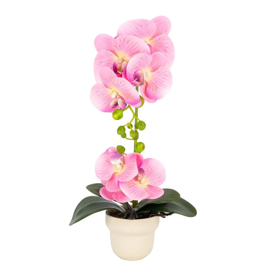 Orhidee cu aspect natural in ghiveci ceramic, 49 cm, Naimeed D6896, Roz