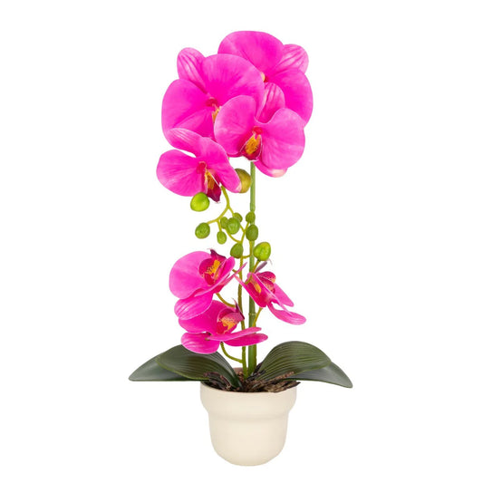 Orhidee cu aspect natural in ghiveci ceramic, 49 cm, Naimeed D6897, Fucsia