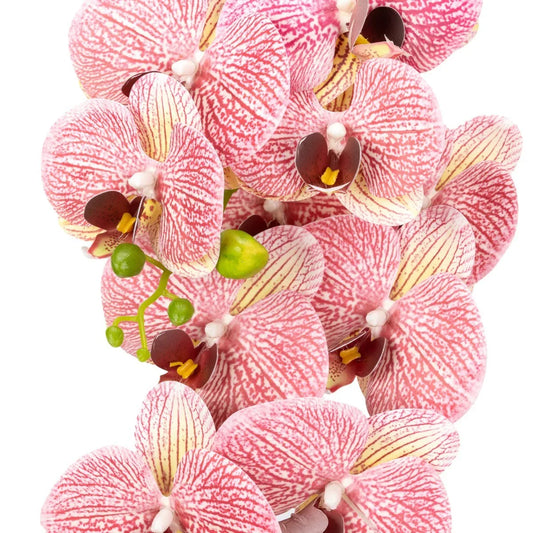 Orhidee cu aspect natural in ghiveci ceramic, 79 cm, Naimeed D6899, Roz