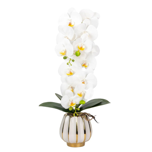 Orhidee cu aspect natural in ghiveci ceramic, 79 cm, Naimeed D6900, Alb