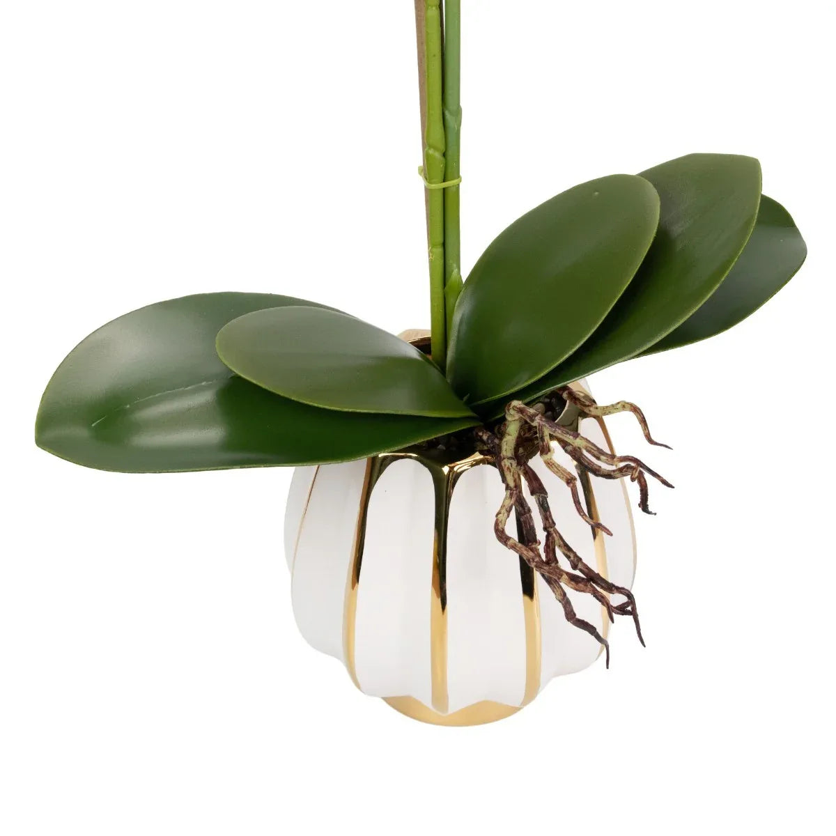 Orhidee cu aspect natural in ghiveci ceramic, 79 cm, Naimeed D6901, Galben pal