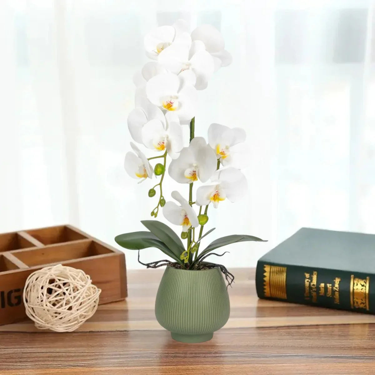 Orhidee cu aspect natural in ghiveci ceramic, 80 cm, Naimeed D6903, Alb/Verde