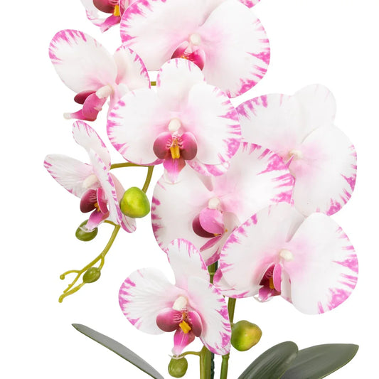 Orhidee cu aspect natural in ghiveci ceramic, 80 cm, Naimeed D6904, Roz/Verde