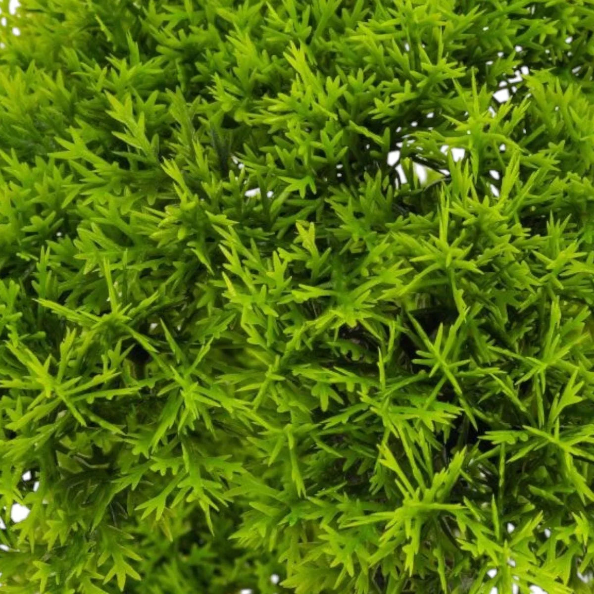 Copac artificial, tip Conifer, cu ghiveci, Naimeed D6916, 50x12 cm, Verde