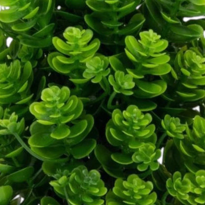 Planta artificiala, tip Kalanchoe, cu ghiveci, Naimeed D6922, 24x8.8 cm, Verde