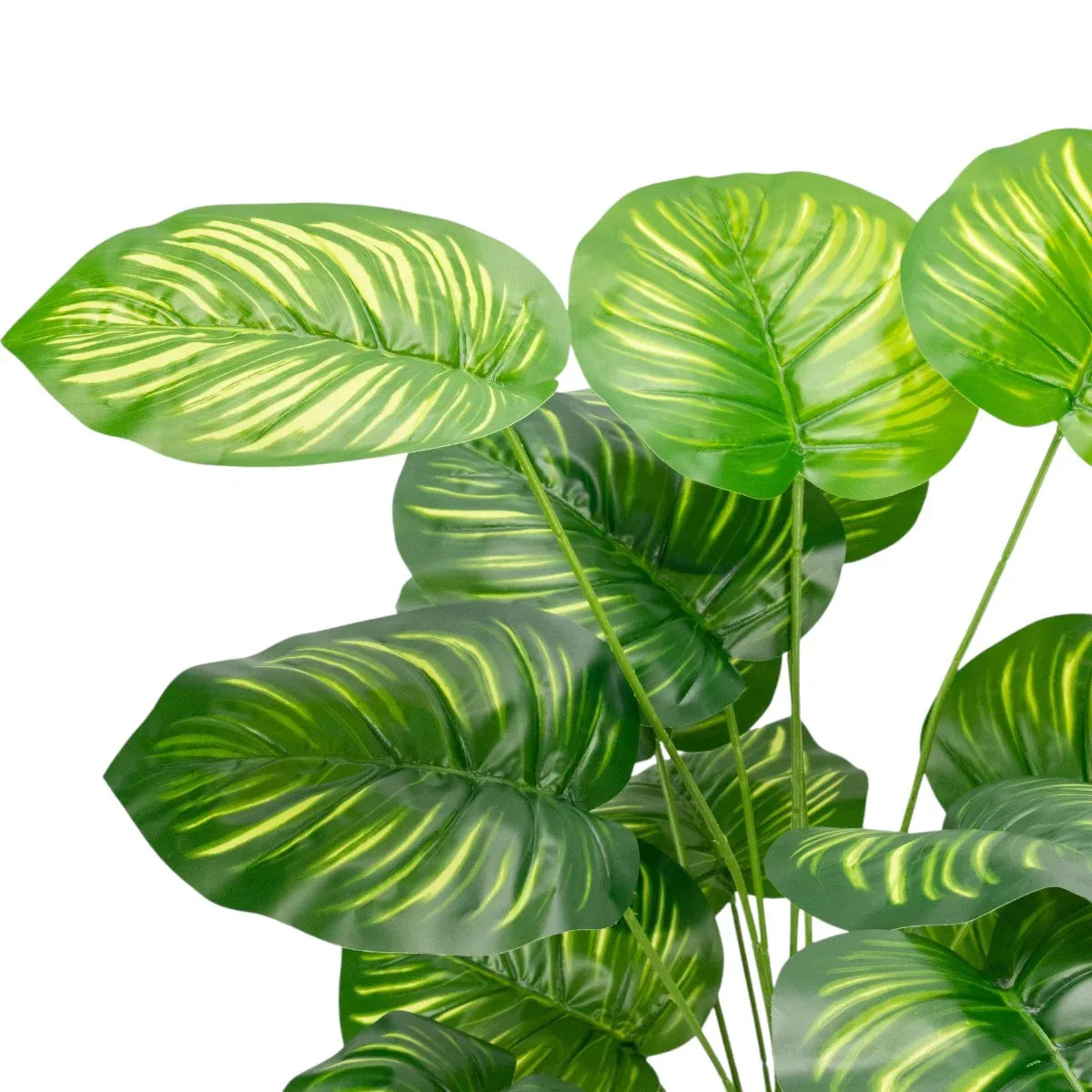 Planta decorativa artificiala, fara ghiveci, tip Philodendron Birkin, Naimeed D6944, 88 cm, Verde