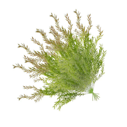 Set 2 plante artificiale curgatoare, 5 fire, lungime 85cm, Naimeed D7016, Rosu