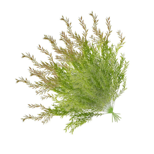 Set 2 plante artificiale curgatoare, 5 fire, lungime 85cm, Naimeed D7016, Rosu