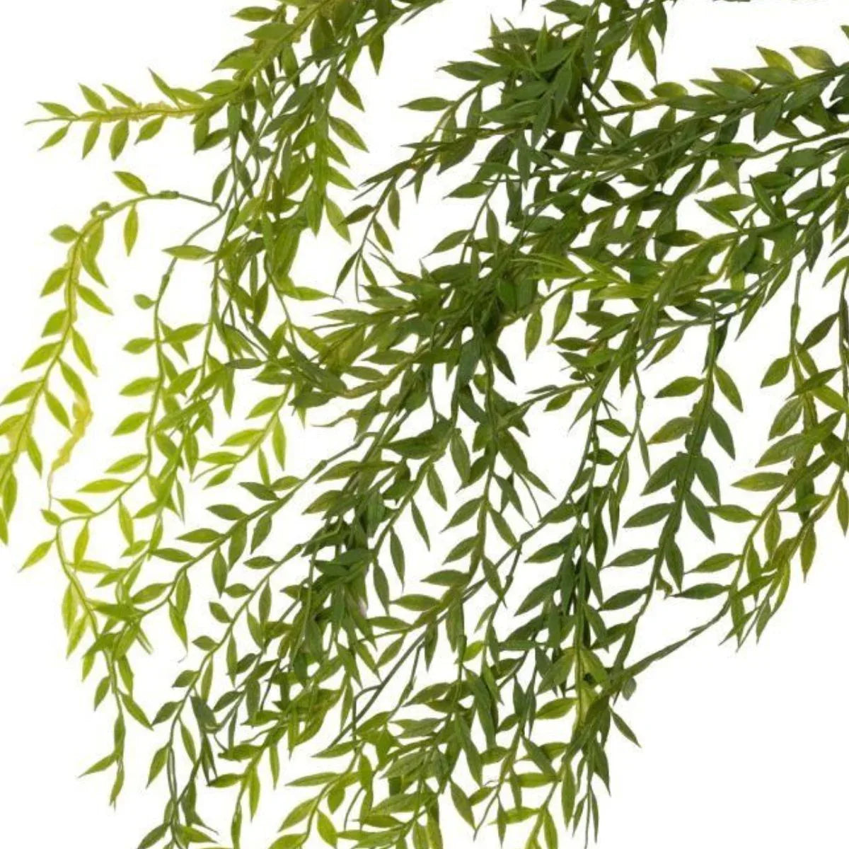 Set 2 plante artificiale curgatoare, 5 fire, lungime 85cm, Naimeed D7017, Verde