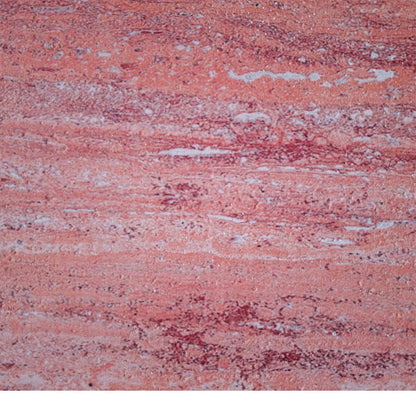 Panou decorativ din praf de piatra, Naimeed D7313, flexibil, ignifug, strat protector ceramic, rezistent la razele UV, 120x60x0.2 cm, coral