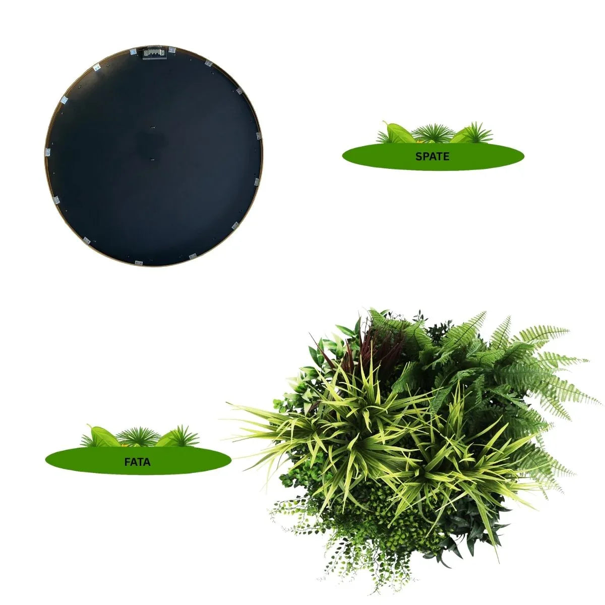 Aranjament decorativ, de perete, cu ramă din aluminiu și plante artificiale Naimeed D7467, diametru 50 cm