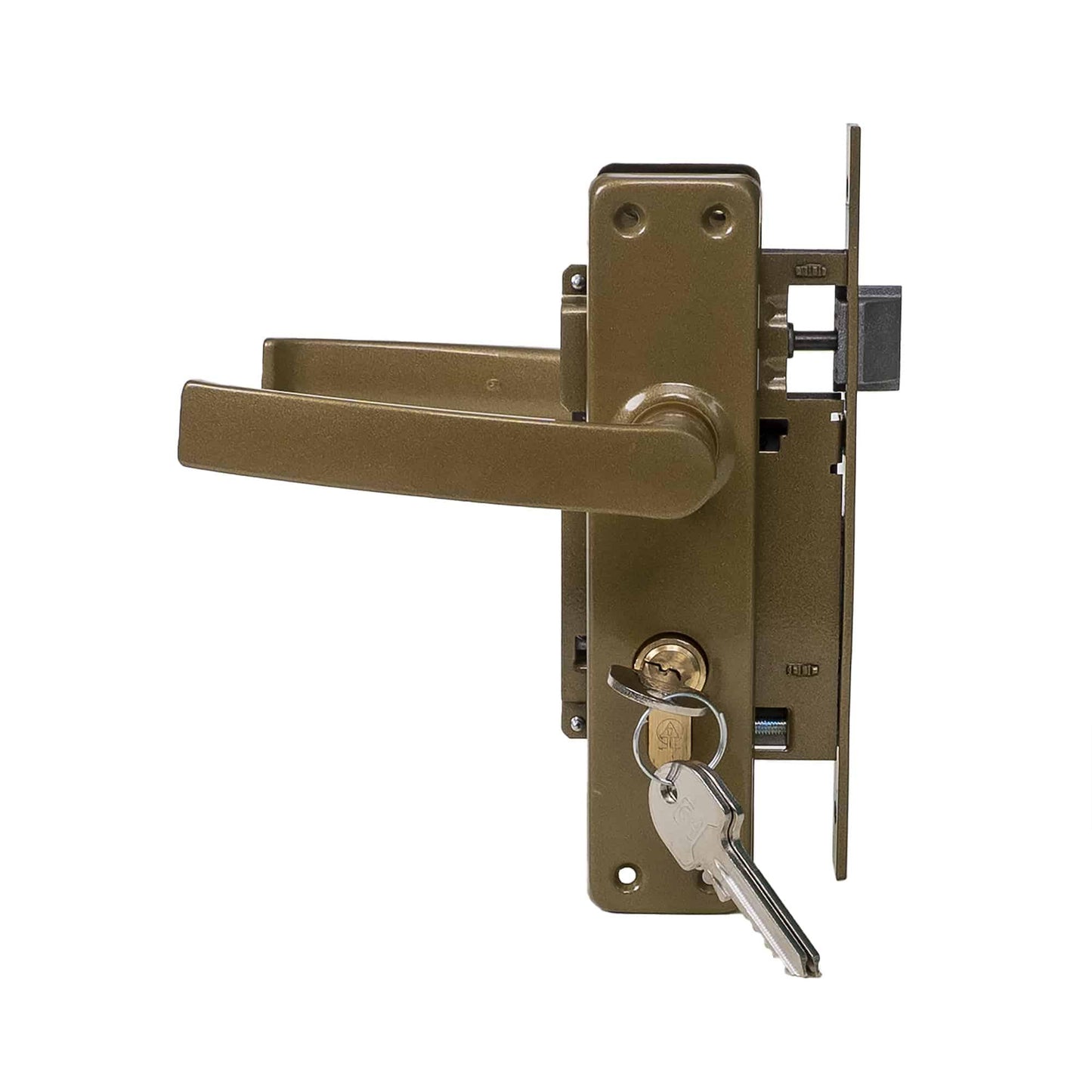 Pachet Broasca cu cilindru Y 54  Oro / EXT 5522
