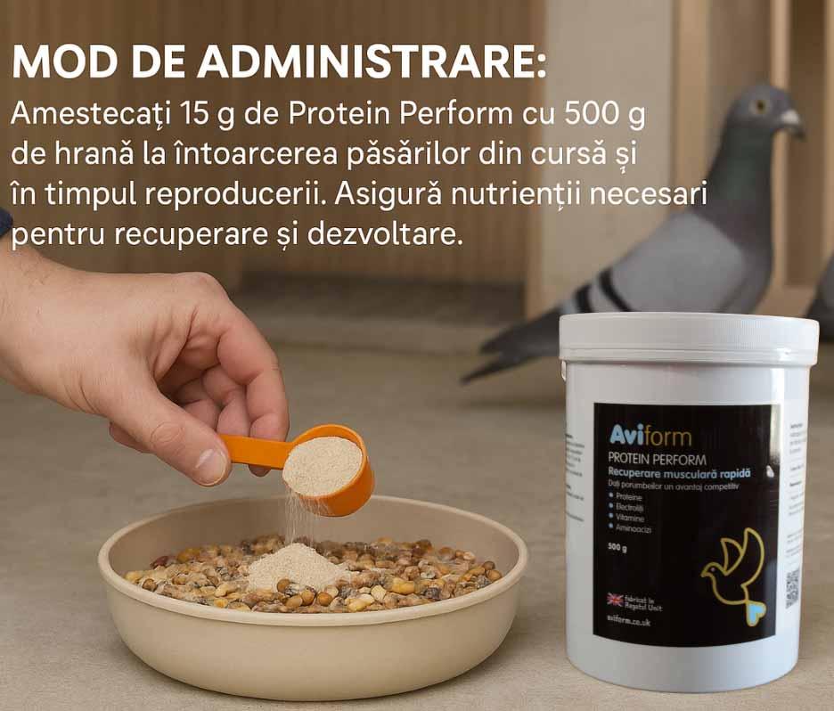 Aviform Protein Perform – Proteine 84% pentru porumbei de curse 500 gr