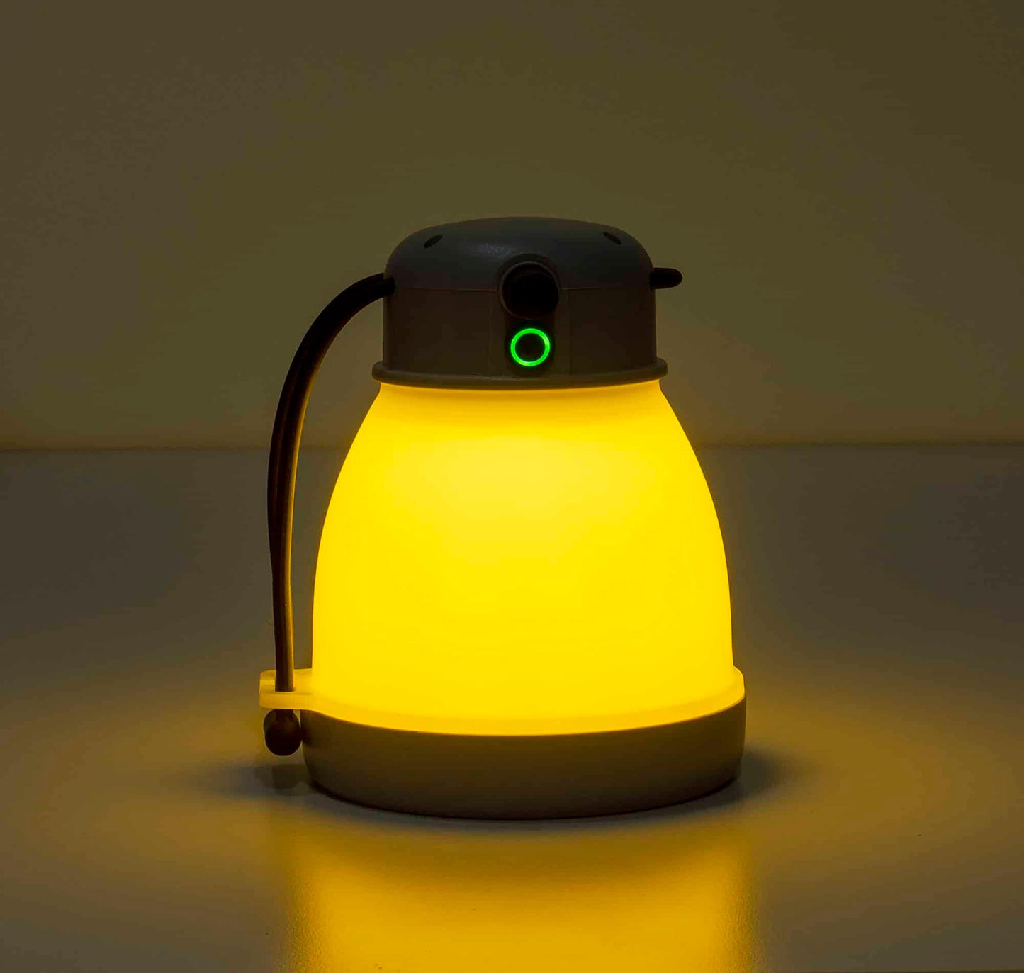 Felinar, 5 moduri de intensitate a luminii, putere 10W, gri / ZTS 8218